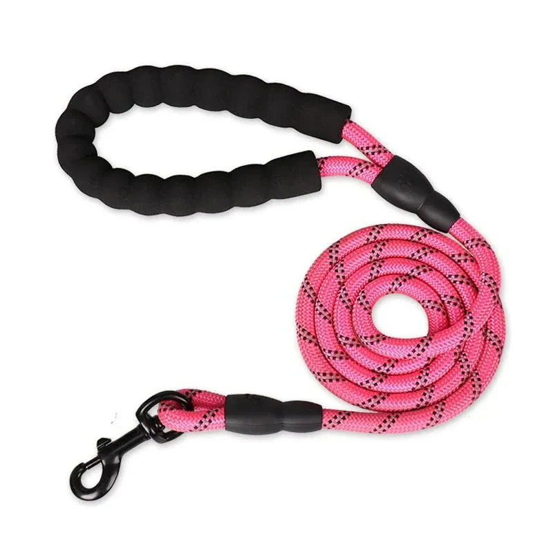 Dailypets Braided Reflective Dog Leash with Padded Handle for Everyday Walks