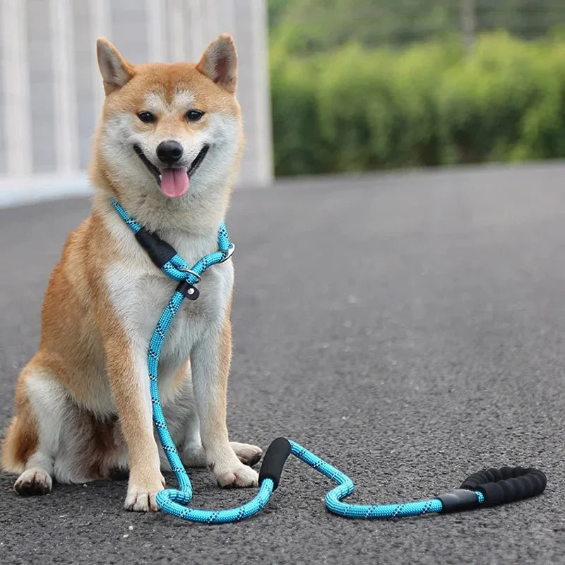 Dailypets Reflective Slip Dog Leash with Padded Handle and Adjustable Collar Loop 180 cm