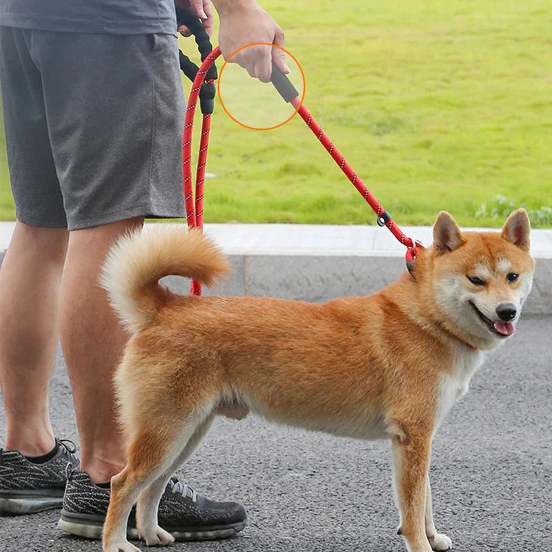 Dailypets Reflective Slip Dog Leash with Padded Handle and Adjustable Collar Loop 180 cm