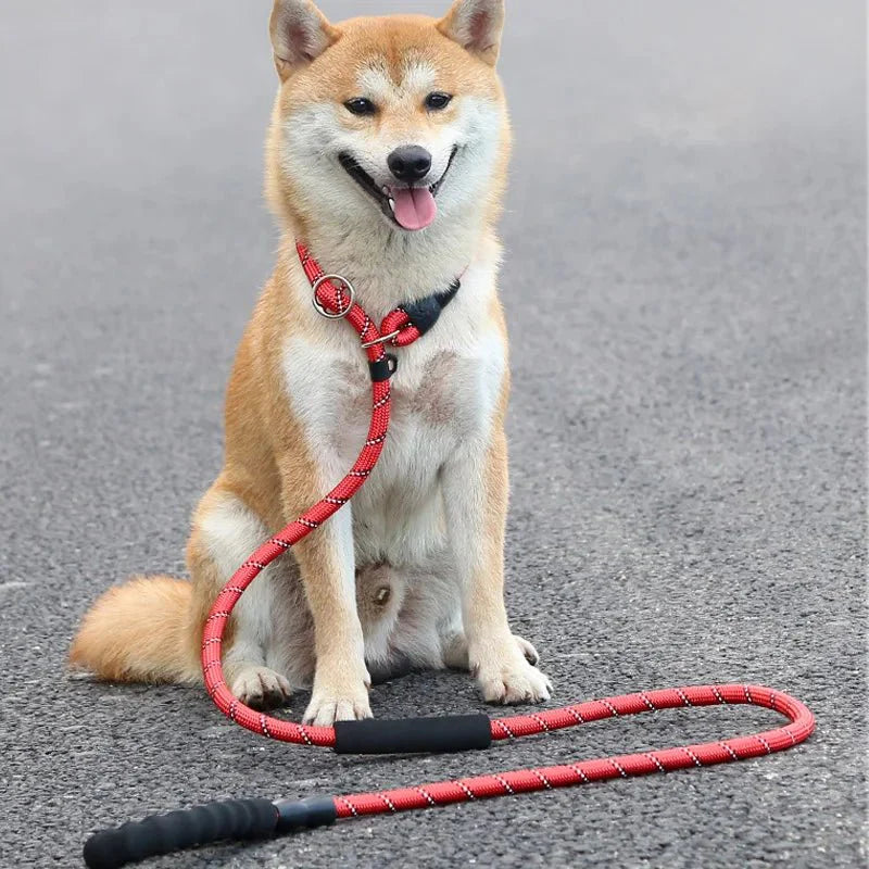 Dailypets Reflective Slip Dog Leash with Padded Handle and Adjustable Collar Loop 180 cm