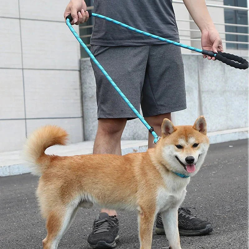 Dailypets Reflective Slip Dog Leash with Padded Handle and Adjustable Collar Loop 180 cm
