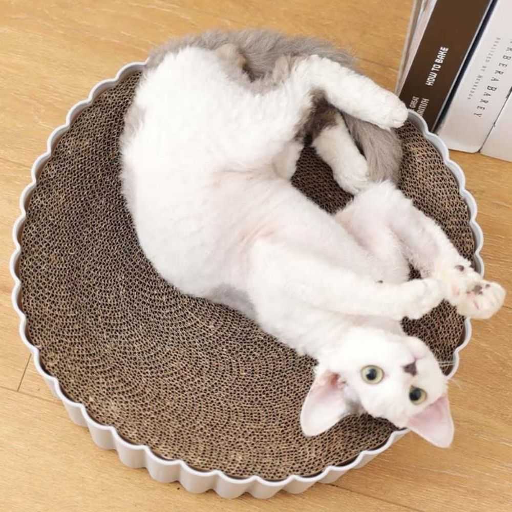 Dailypets Premium Round Cat Scratching Board – Long-Lasting Corrugated Design