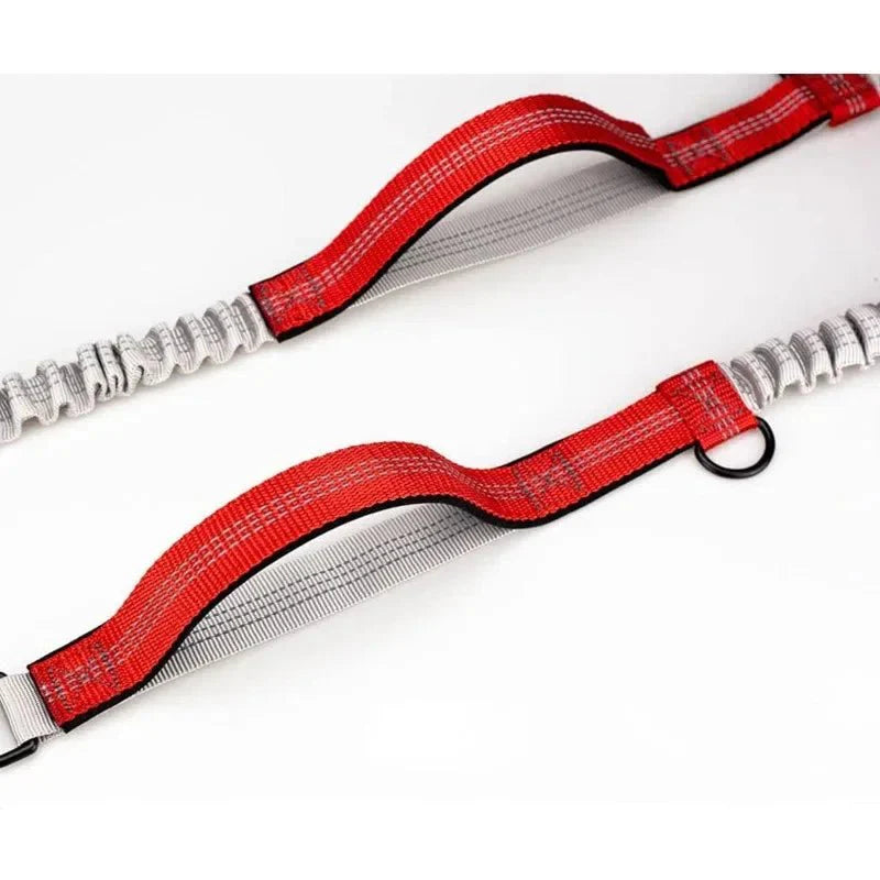 Dailypets Hands-Free Bungee Dog Leash with Adjustable Waist Belt for Walking and Running