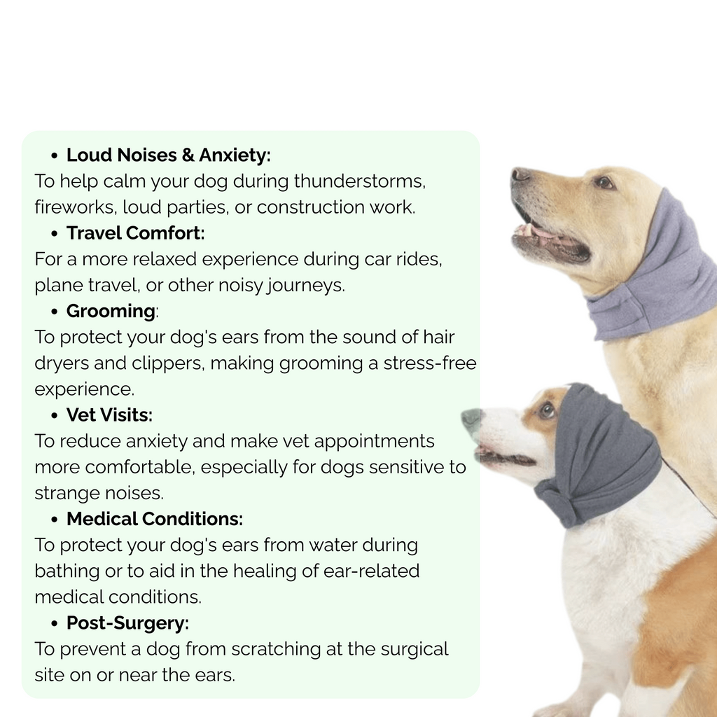 Dailypets Dog Ear Protection with Soft Compression Fit for Travel and Loud Environments