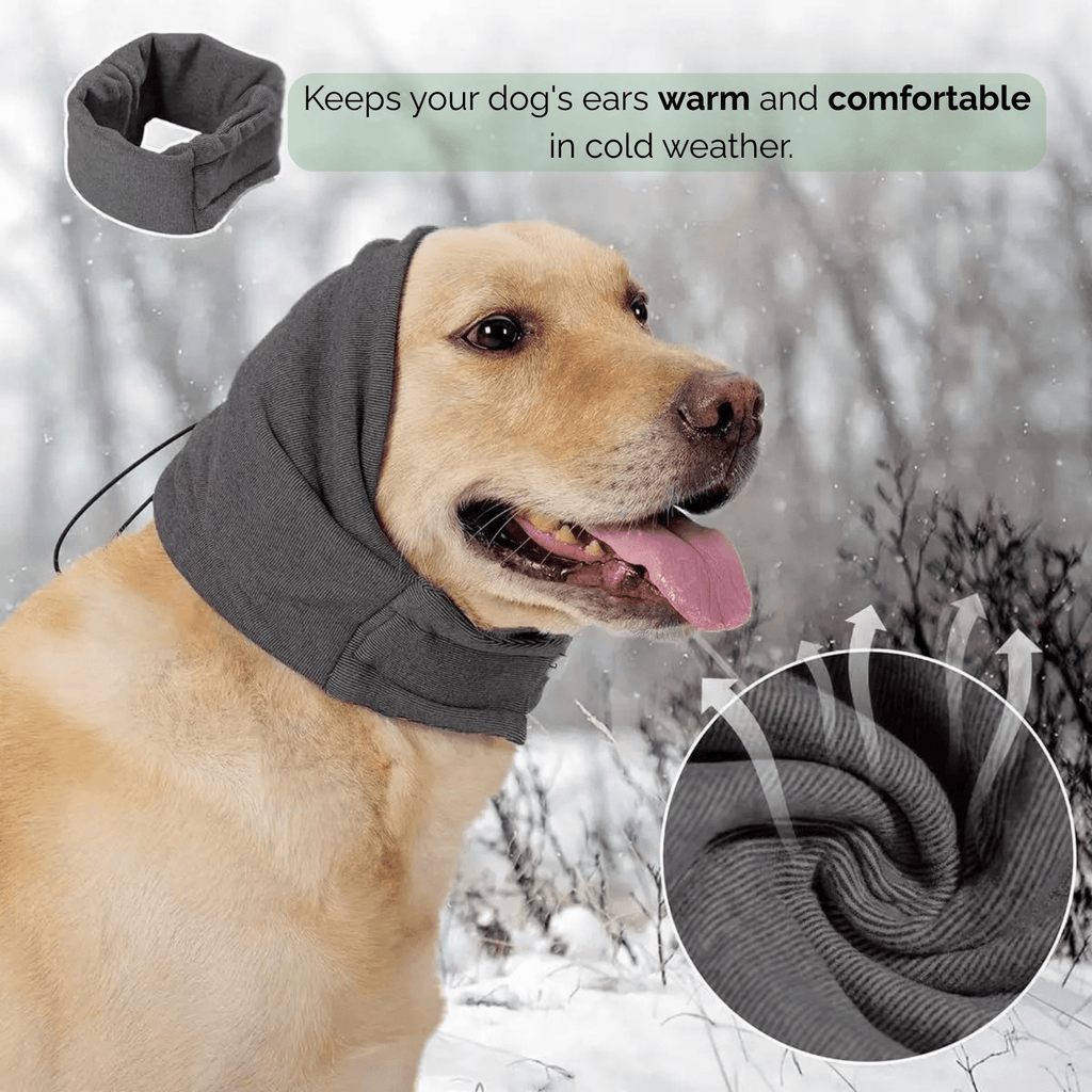 Dailypets Dog Ear Protection with Soft Compression Fit for Travel and Loud Environments