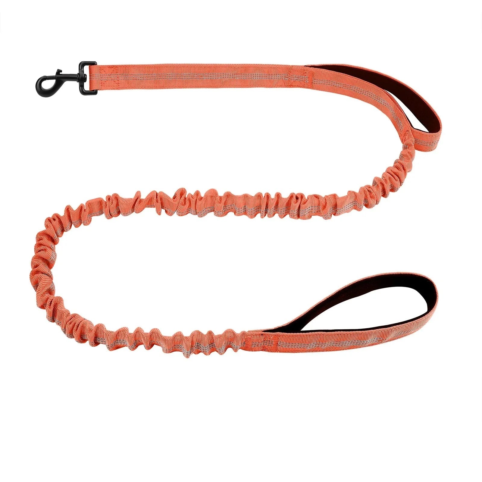 Dailypets Shock-Absorbing Bungee Dog Leash with Dual Padded Handles for Training