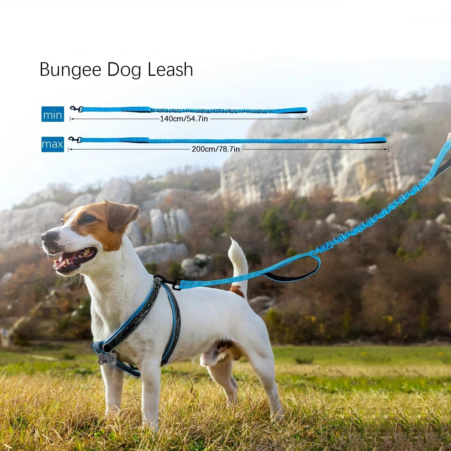 Dailypets Shock-Absorbing Bungee Dog Leash with Dual Padded Handles for Training