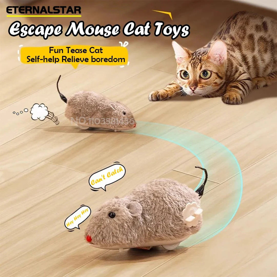 Dailypets Interactive Wind-Up Mouse Toy for Cats with Battery-Free Rolling Motion
