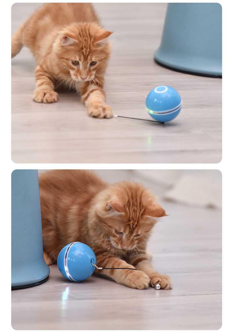 Dailypets Smart Interactive Cat Ball – USB Rechargeable LED Chase Toy
