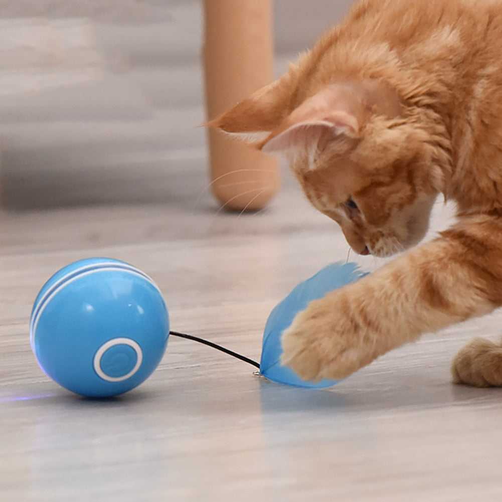 Dailypets Smart Interactive Cat Ball – USB Rechargeable LED Chase Toy