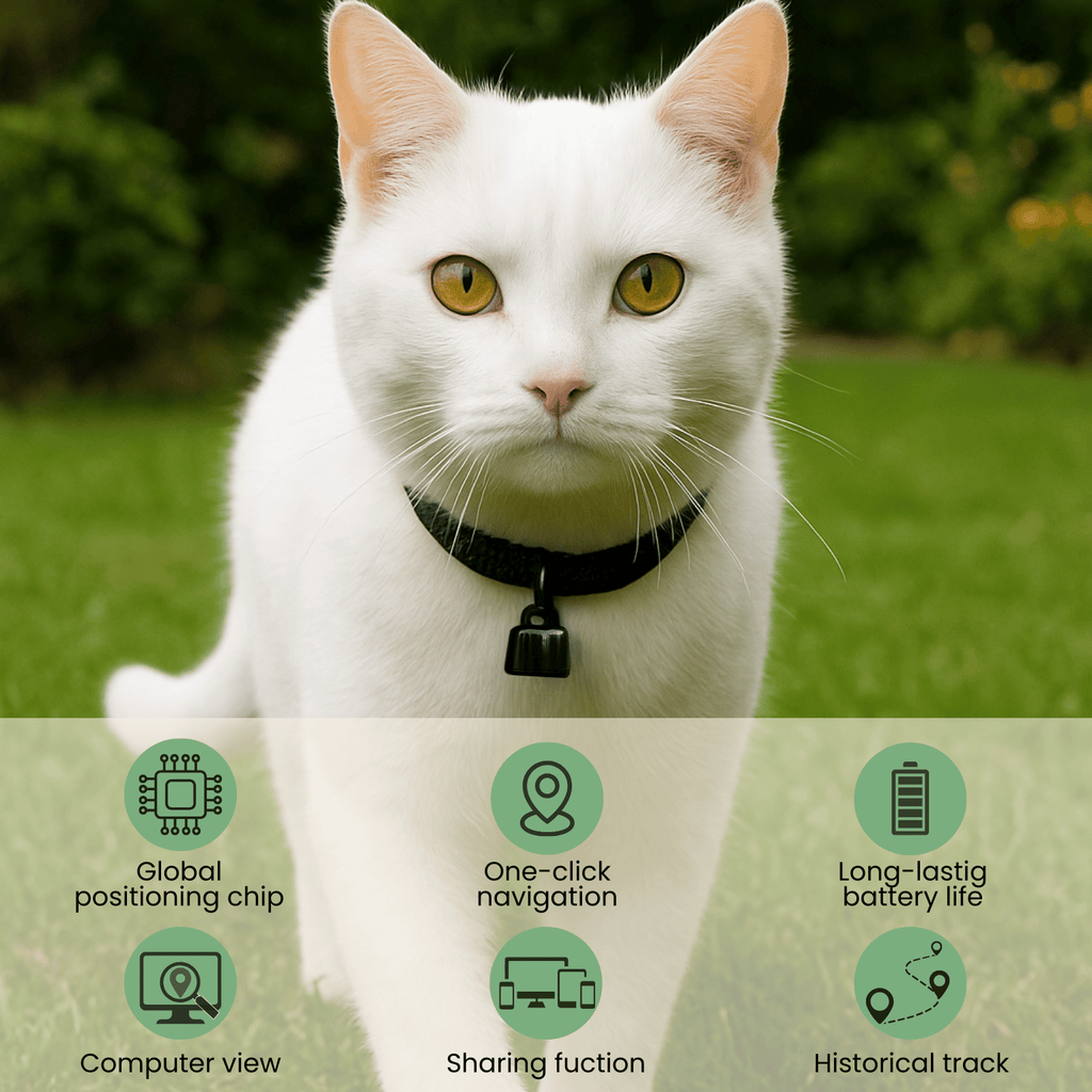 Dailypets Bluetooth Pet Tracker for Android and iPhone with Community Location Network