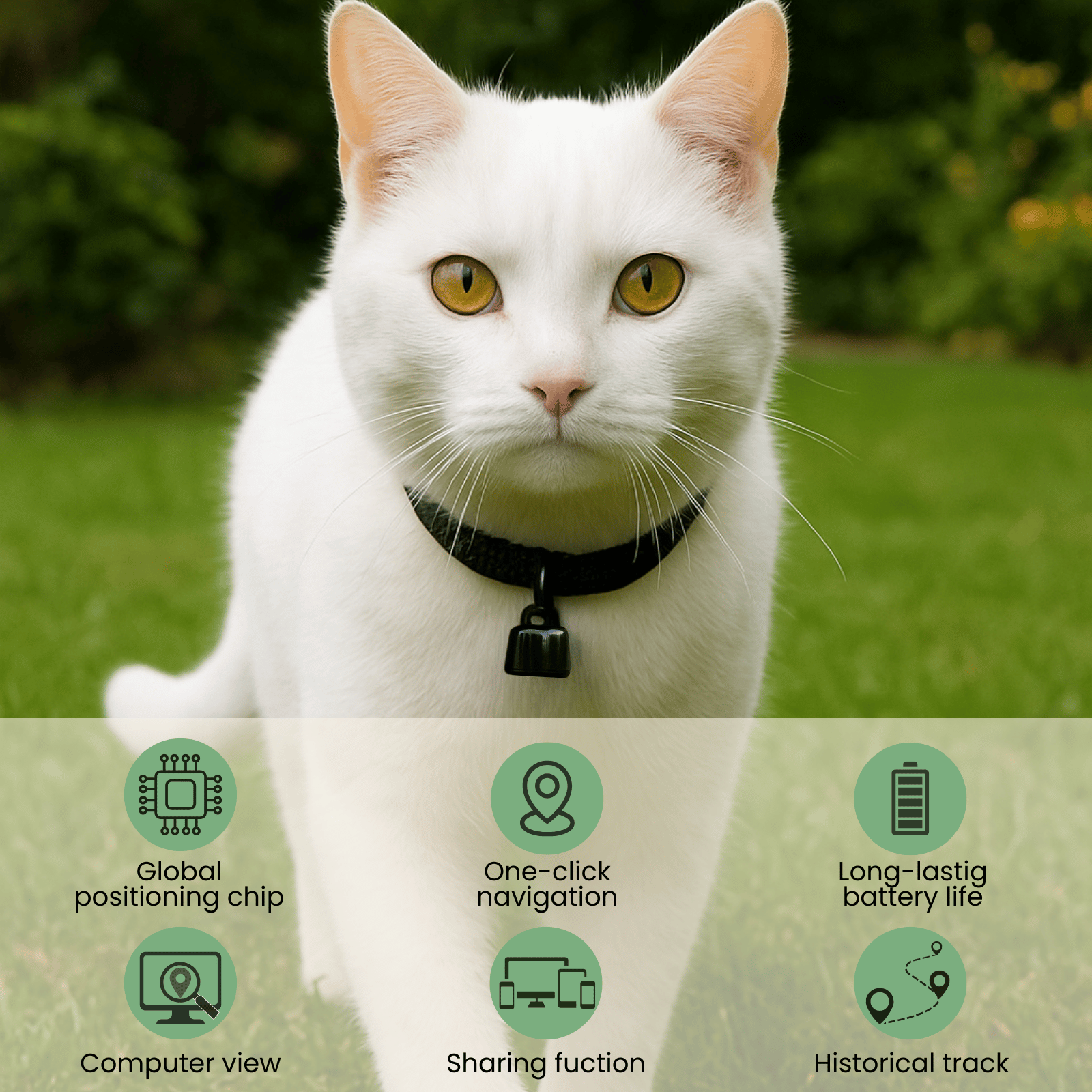 Dailypets Bluetooth Pet Tracker for Android and iPhone with Community Location Network