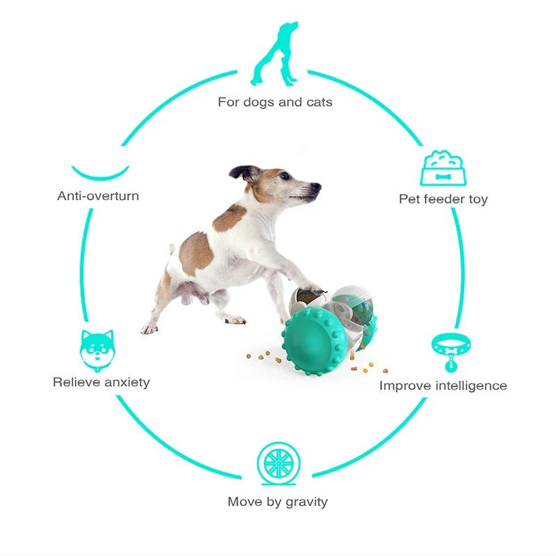 Dailypets Snack Tumbler Dog Toy for Slow Feeding & IQ Training