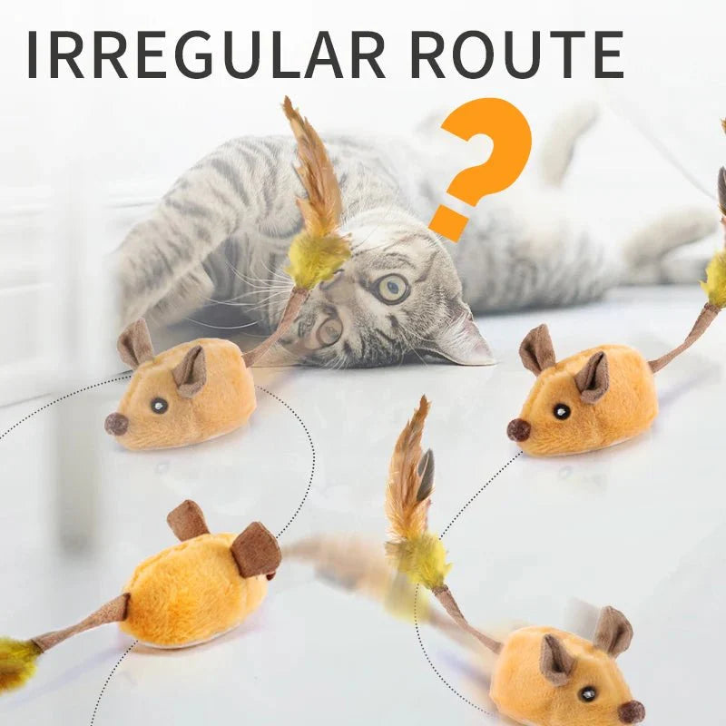 Dailypets Interactive Plush Cat Toy – Motion Activated Chase Toy for Indoor Cats