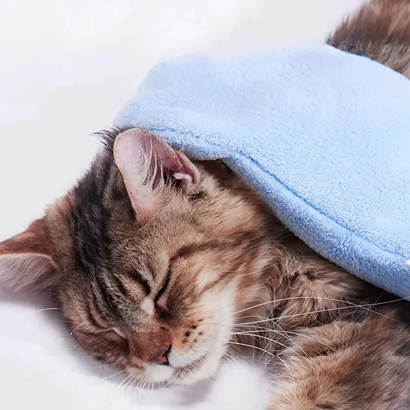 Dailypets Soft Microfiber Pet Drying Glove for Dogs and Cats Everyday Grooming