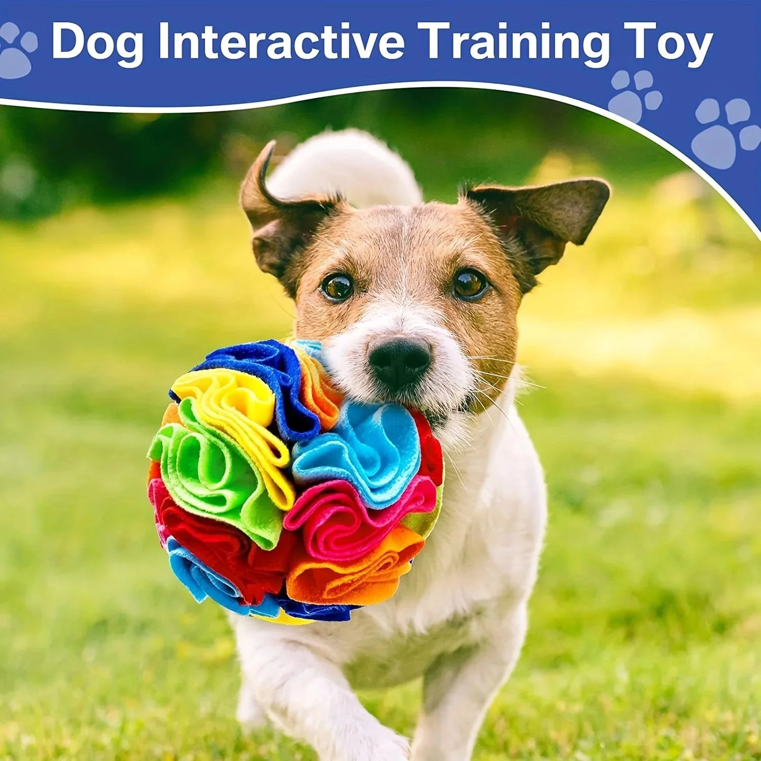 Dailypets Interactive Snuffle Ball for Dogs Slow Feeding & Enrichment