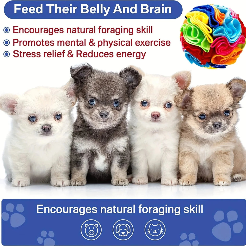 Dailypets Interactive Snuffle Ball for Dogs Slow Feeding & Enrichment