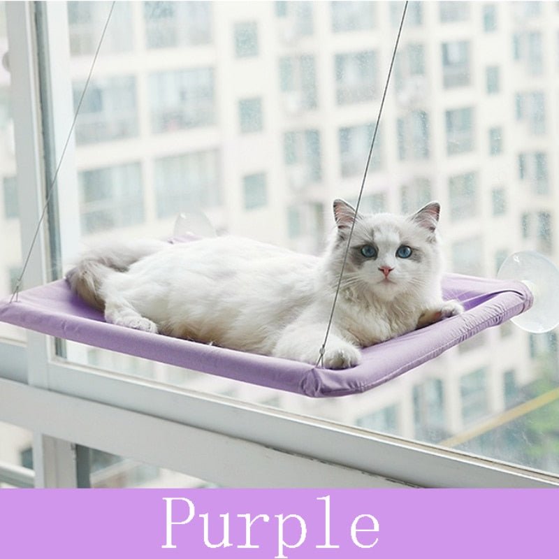 Dailypets Window Cat Bed with Breathable Paw Cut-Out Design
