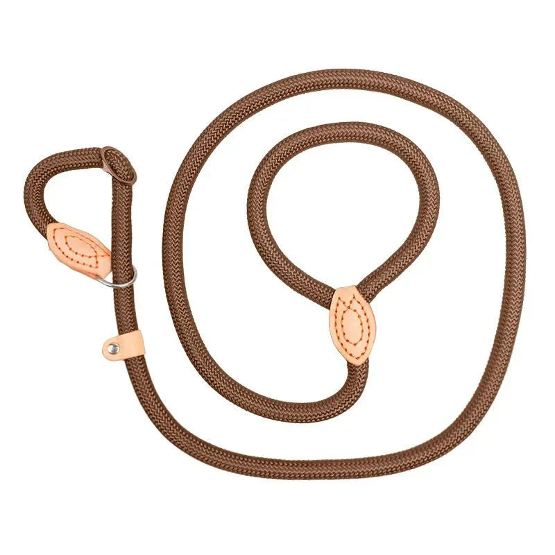 Dailypets Adjustable Slip Lead for Medium & Large Dogs with Heavy-Duty Braided Rope
