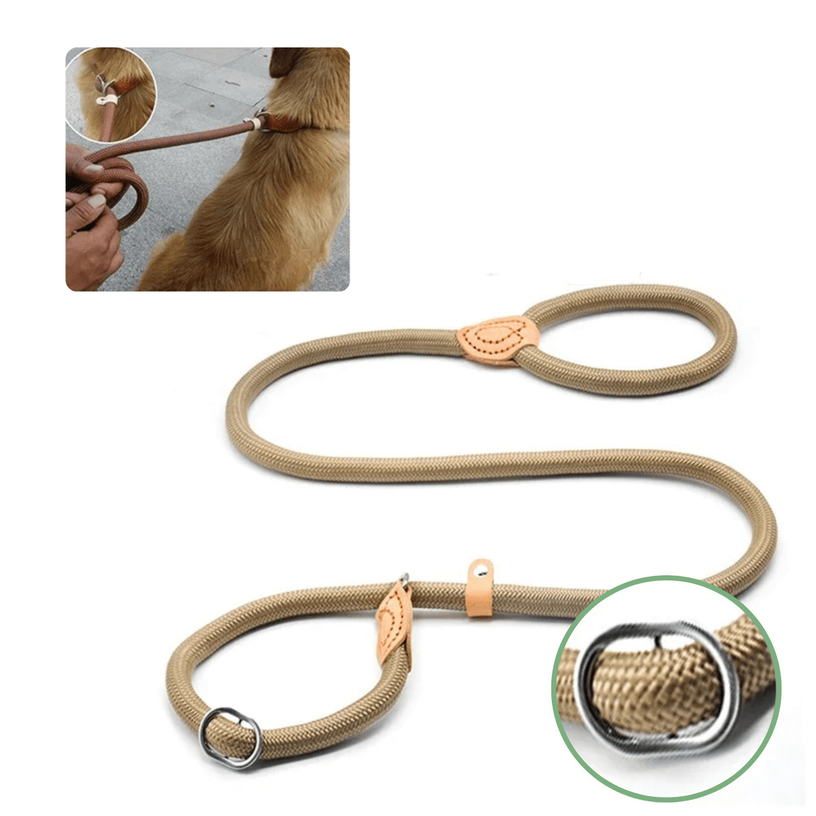 Dailypets Adjustable Slip Lead for Medium & Large Dogs with Heavy-Duty Braided Rope