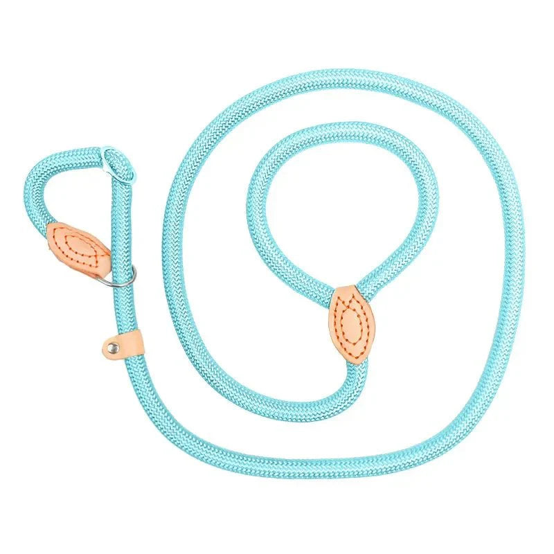 Dailypets Adjustable Slip Lead for Medium & Large Dogs with Heavy-Duty Braided Rope