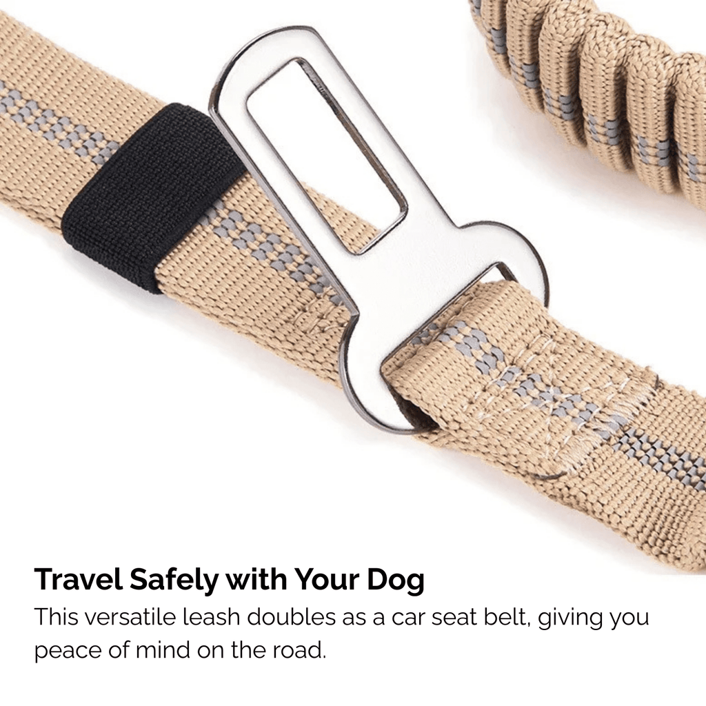 Dailypets Heavy-Duty Reflective Dog Leash with Shock-Absorbing Bungee & Car Seat Belt