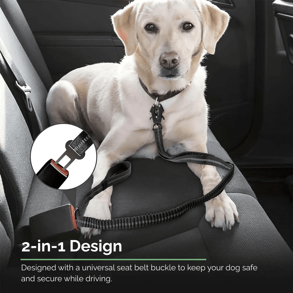 Dailypets Heavy-Duty Reflective Dog Leash with Shock-Absorbing Bungee & Car Seat Belt