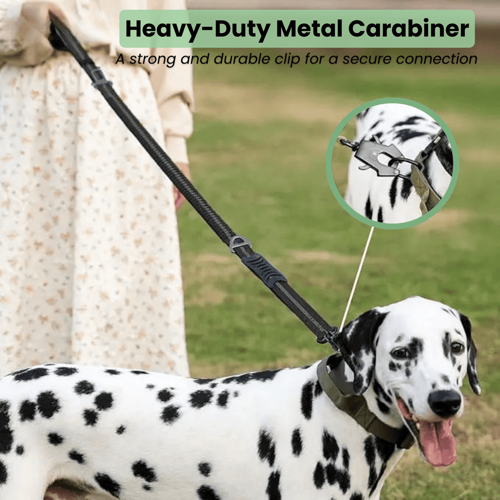 Dailypets Heavy-Duty Reflective Dog Leash with Shock-Absorbing Bungee & Car Seat Belt