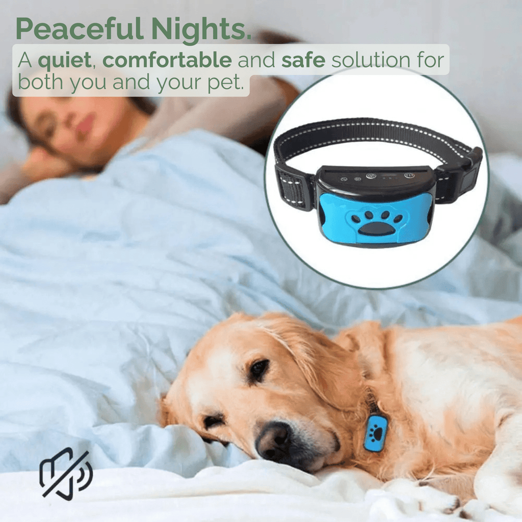 Dailypets Rechargeable Anti-Bark Training Collar with Vibration and Beep Modes