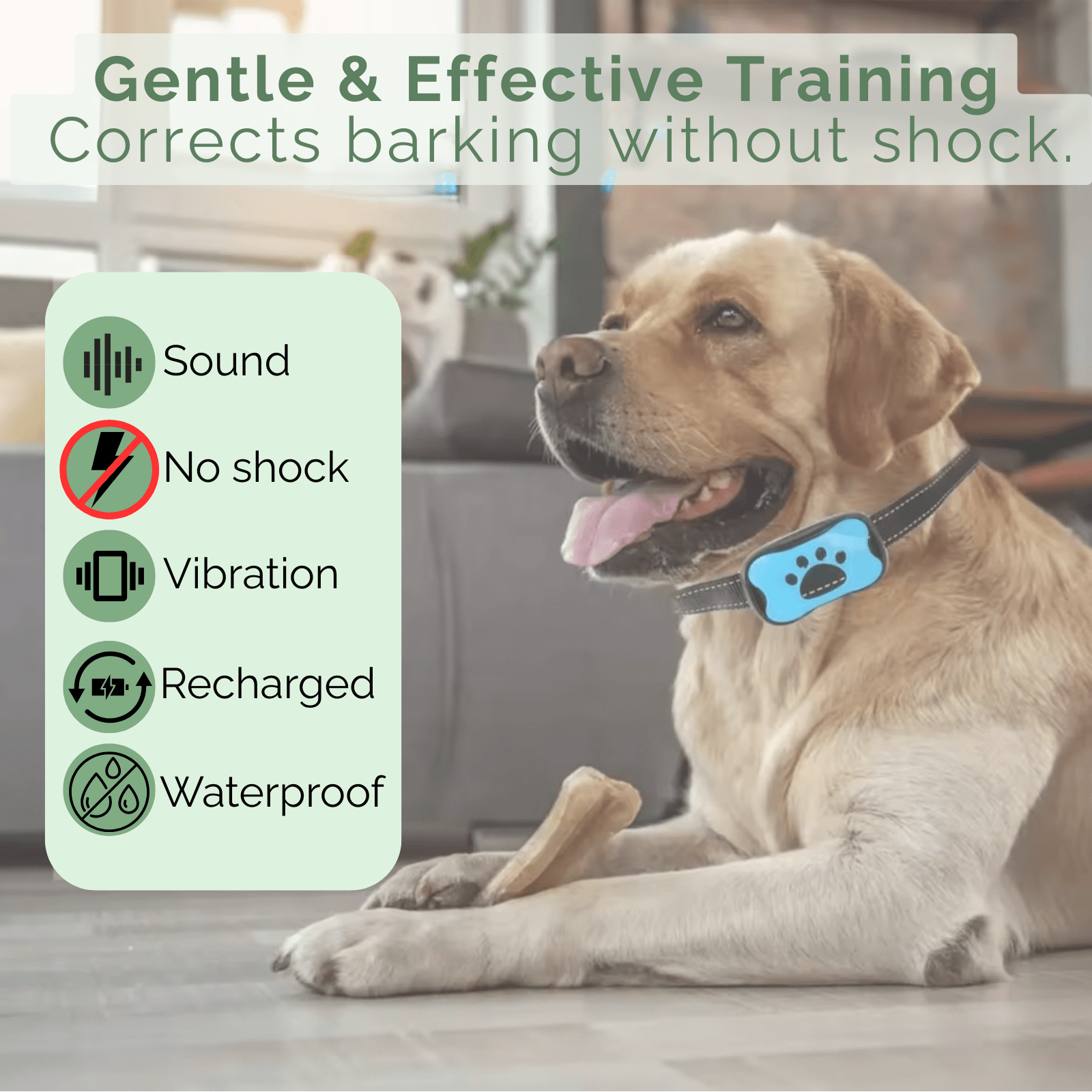 Dailypets Rechargeable Anti-Bark Training Collar with Vibration and Beep Modes