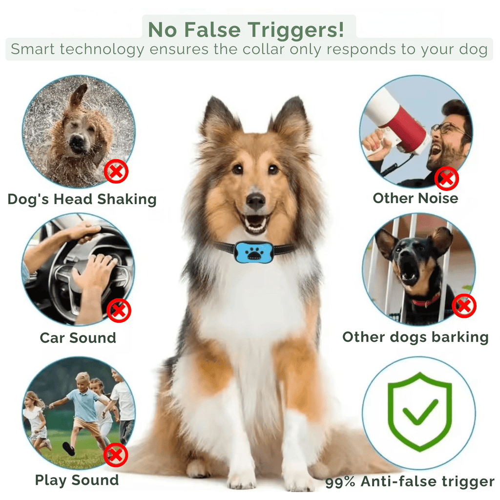 Dailypets Rechargeable Anti-Bark Training Collar with Vibration and Beep Modes