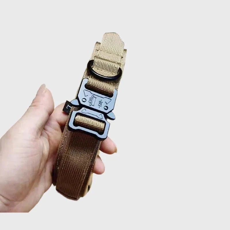 Dailypets Tactical Dog Collar & Bungee Leash Set with Adjustable Nylon Design