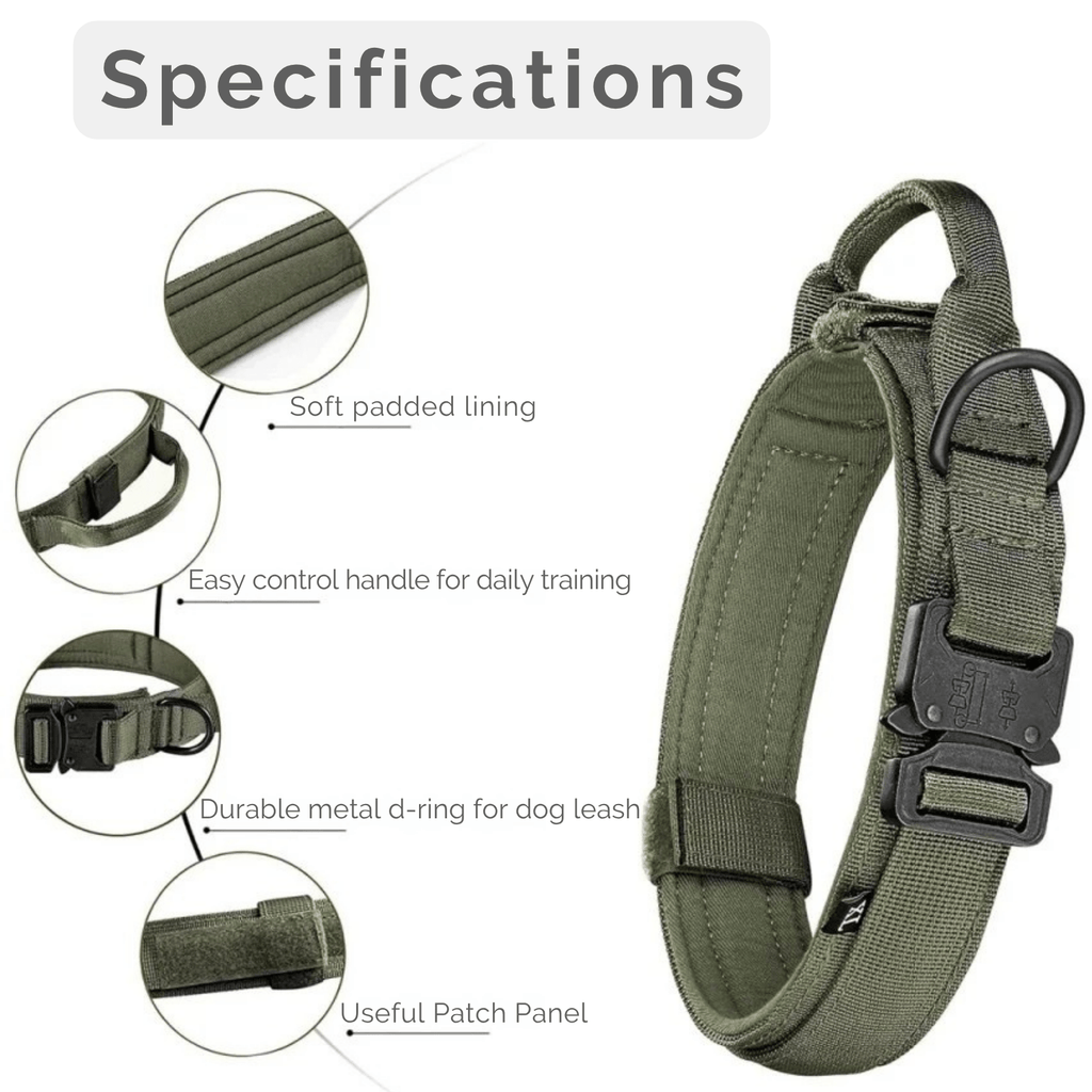 Dailypets Tactical Dog Collar & Bungee Leash Set with Adjustable Nylon Design
