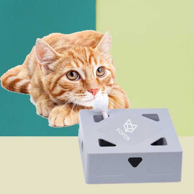 Dailypets Magic Feather Box – Automatic Cat Enrichment Toy