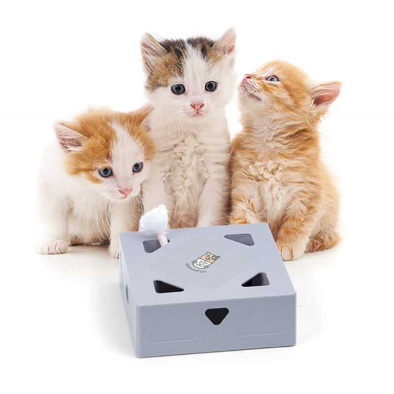 Dailypets Magic Feather Box – Automatic Cat Enrichment Toy