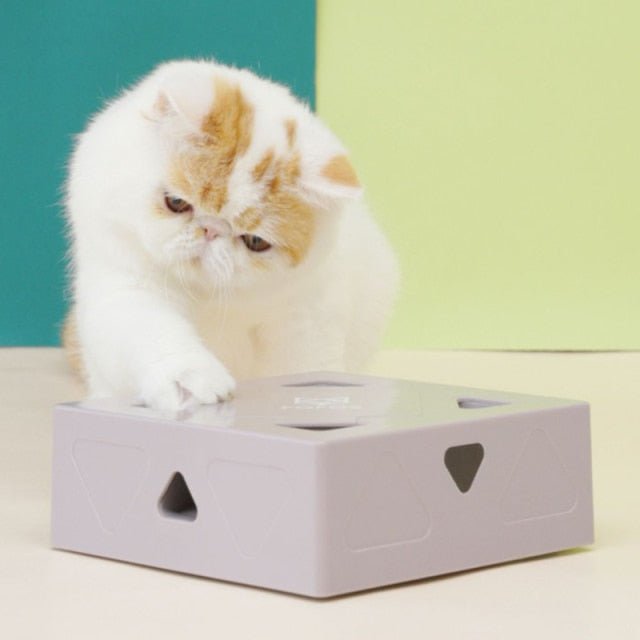 Dailypets Magic Feather Box – Automatic Cat Enrichment Toy