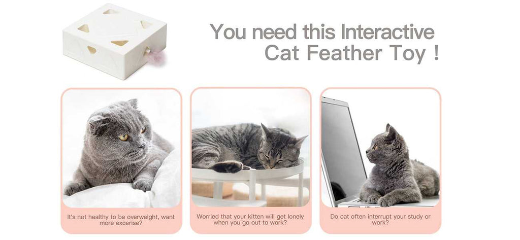Dailypets Magic Feather Box – Automatic Cat Enrichment Toy