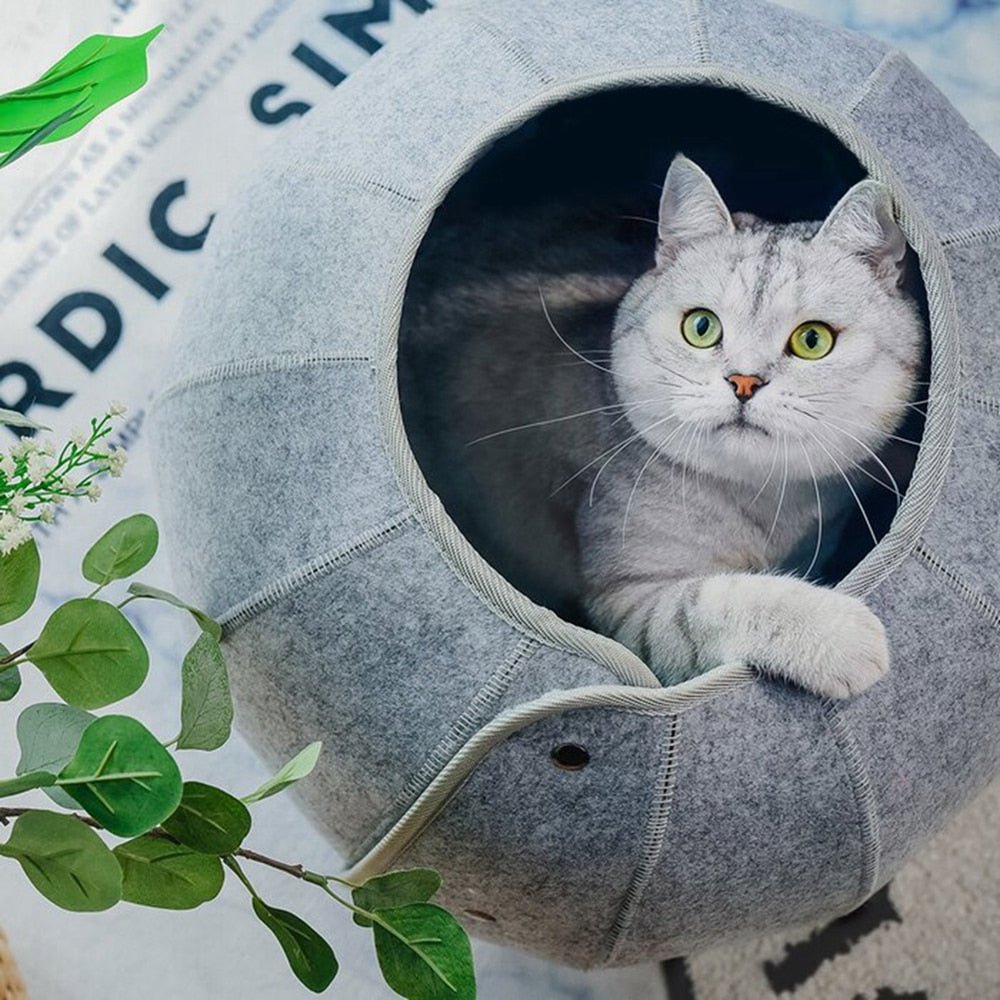 Dailypets Convertible Shell Cat Bed – Foldable Cozy Cat Cave