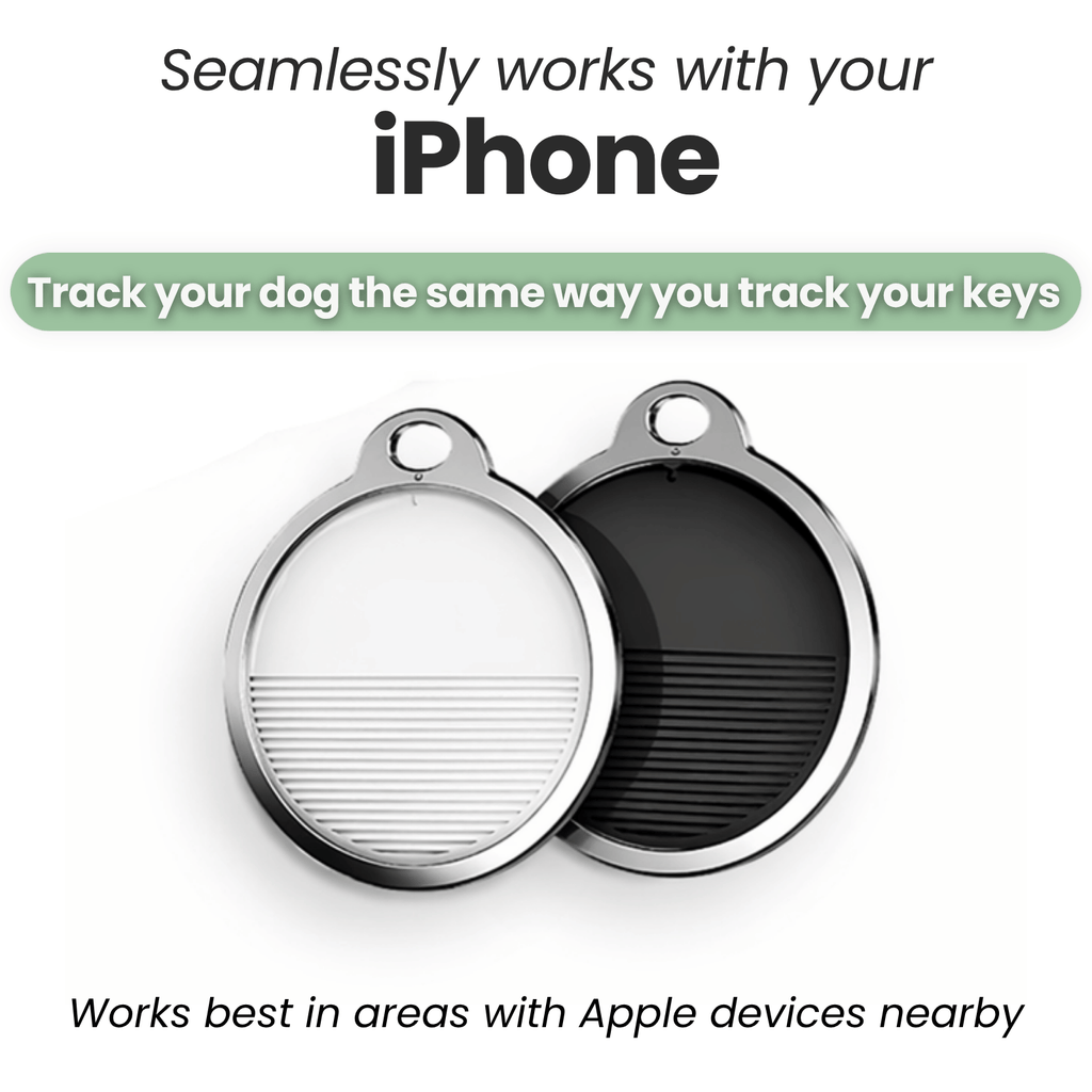 Dailypets SmartTag Pet Collar Set with Apple Find My Compatibility and Reflective Design