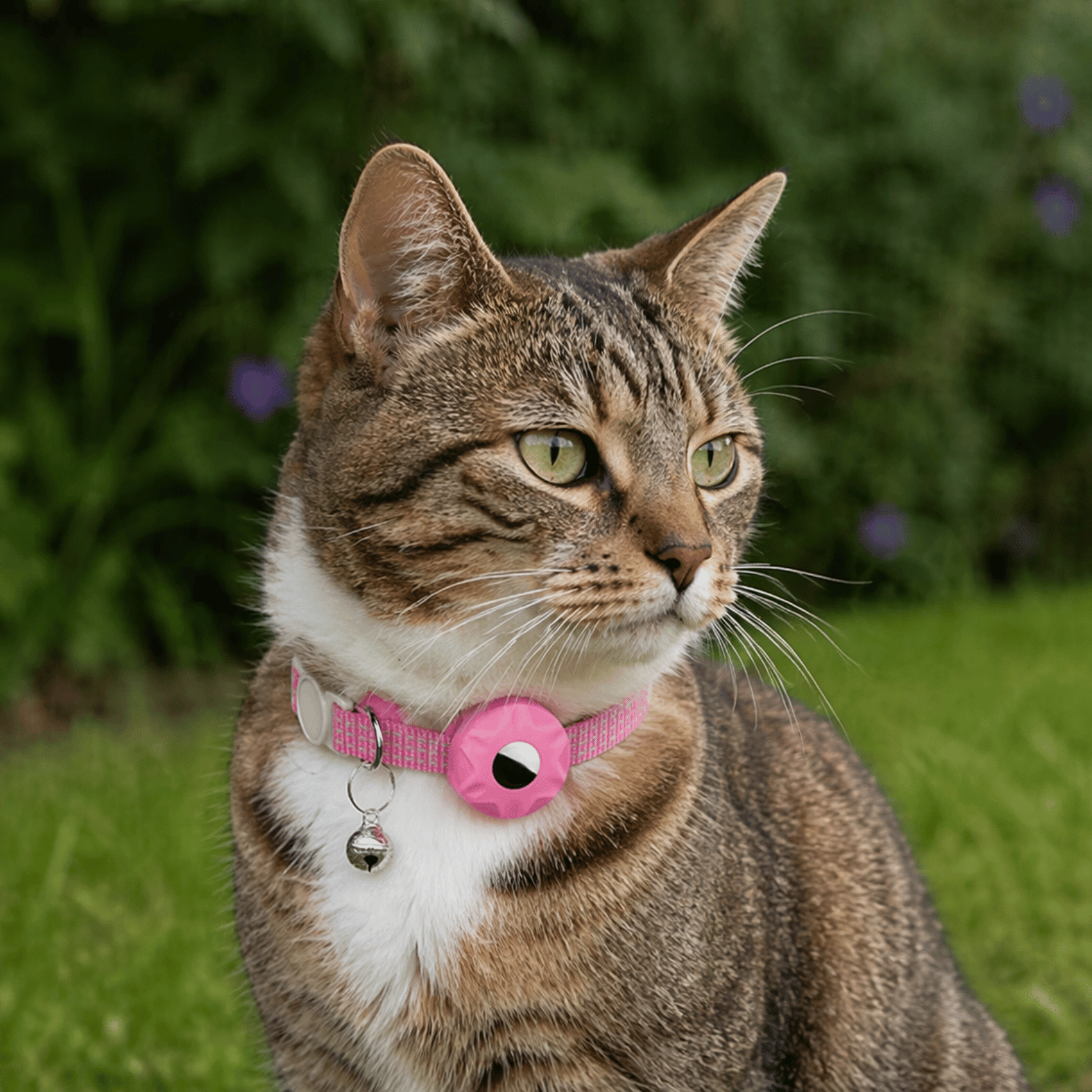 Dailypets Smart Pet Tracker and Reflective Collar Set for Cats Using Android Find My Device