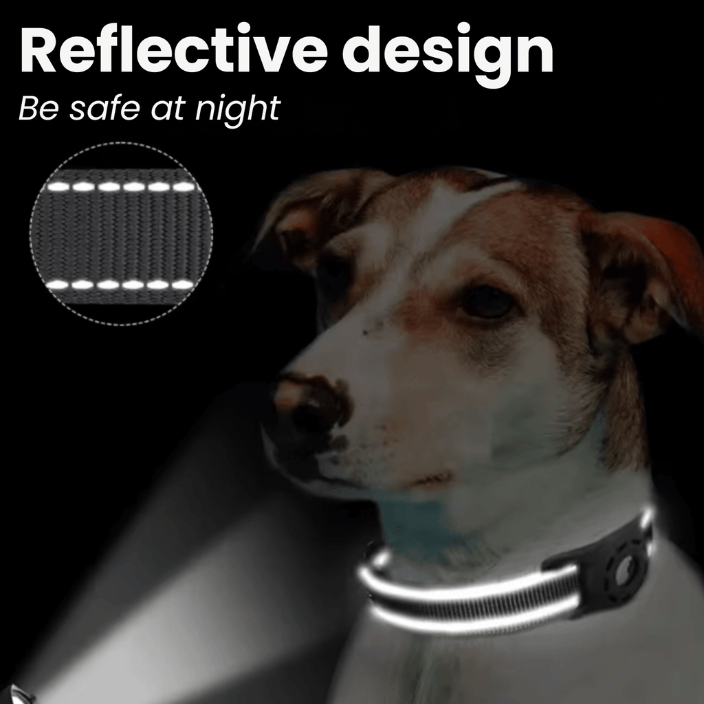 Dailypets SmartTag Pet Collar Set with Apple Find My Compatibility and Reflective Design