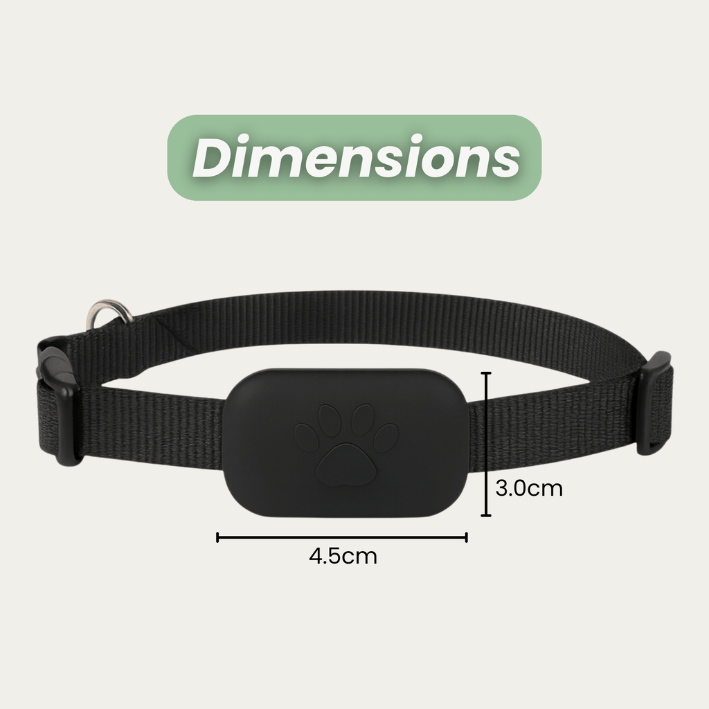 Dailypets Bluetooth Pet Locator for Apple Devices with Real-Time Find My Integration