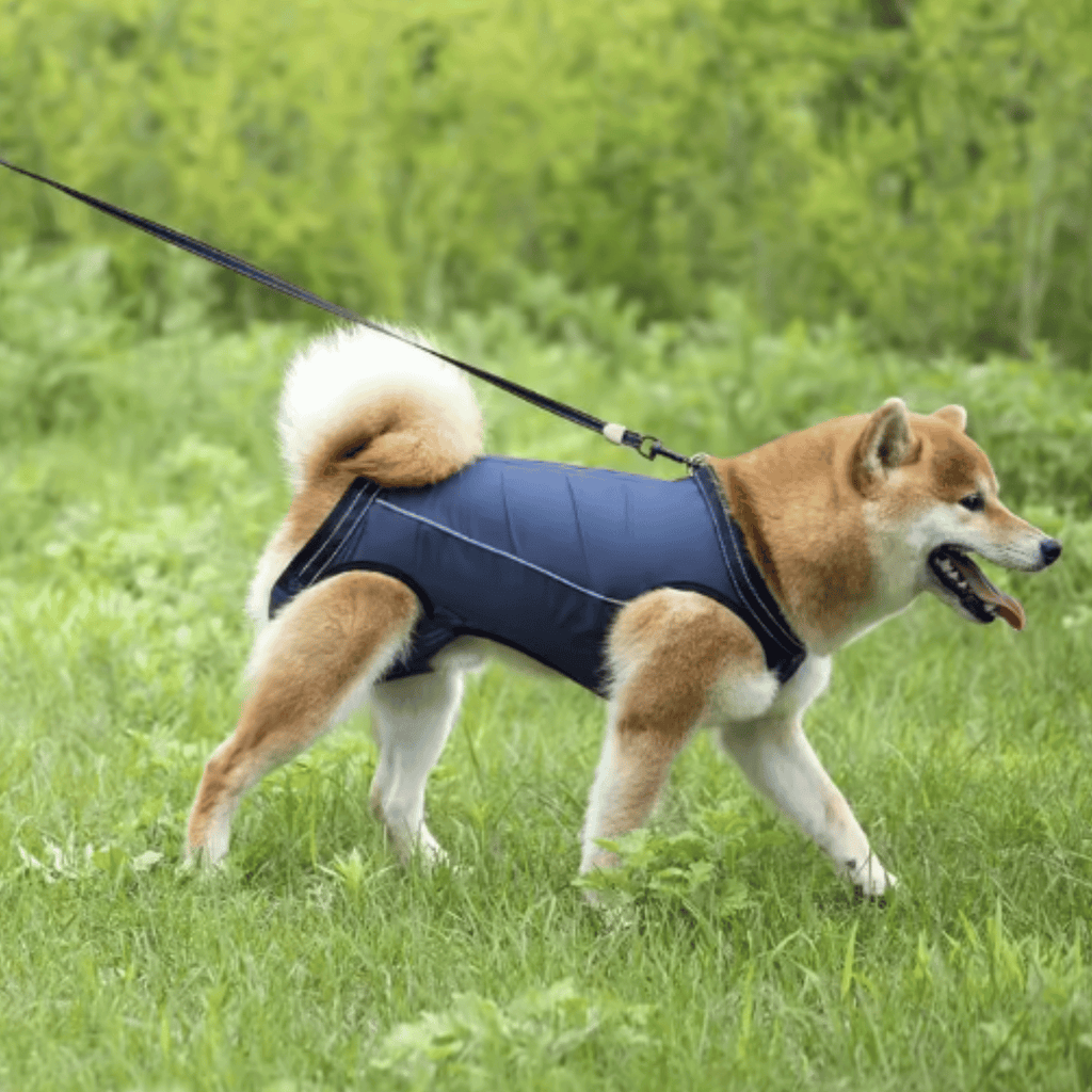 Dailypets Adjustable Dog Support Sling for Comfortable Mobility and Everyday Assistance