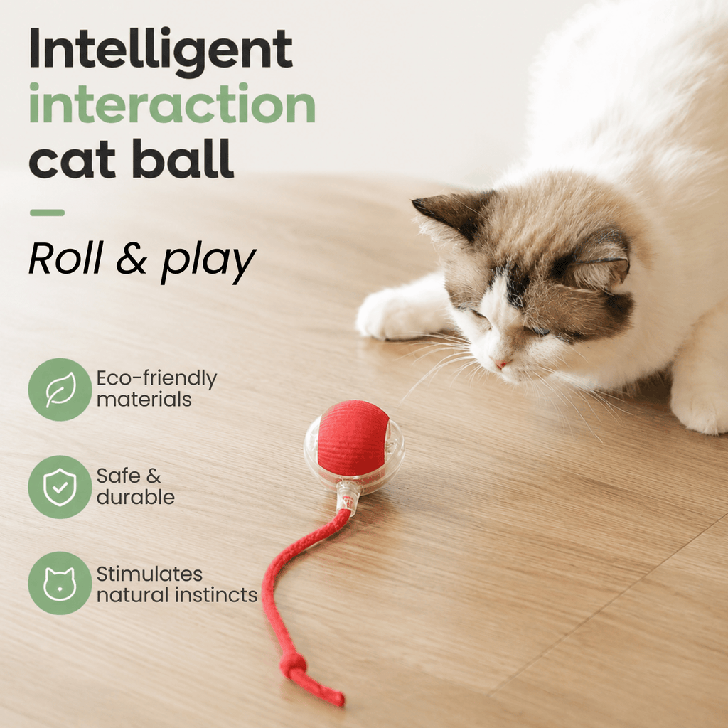Dailypets Automatic Interactive Pet Ball with Smart Motion and USB Rechargeable Design