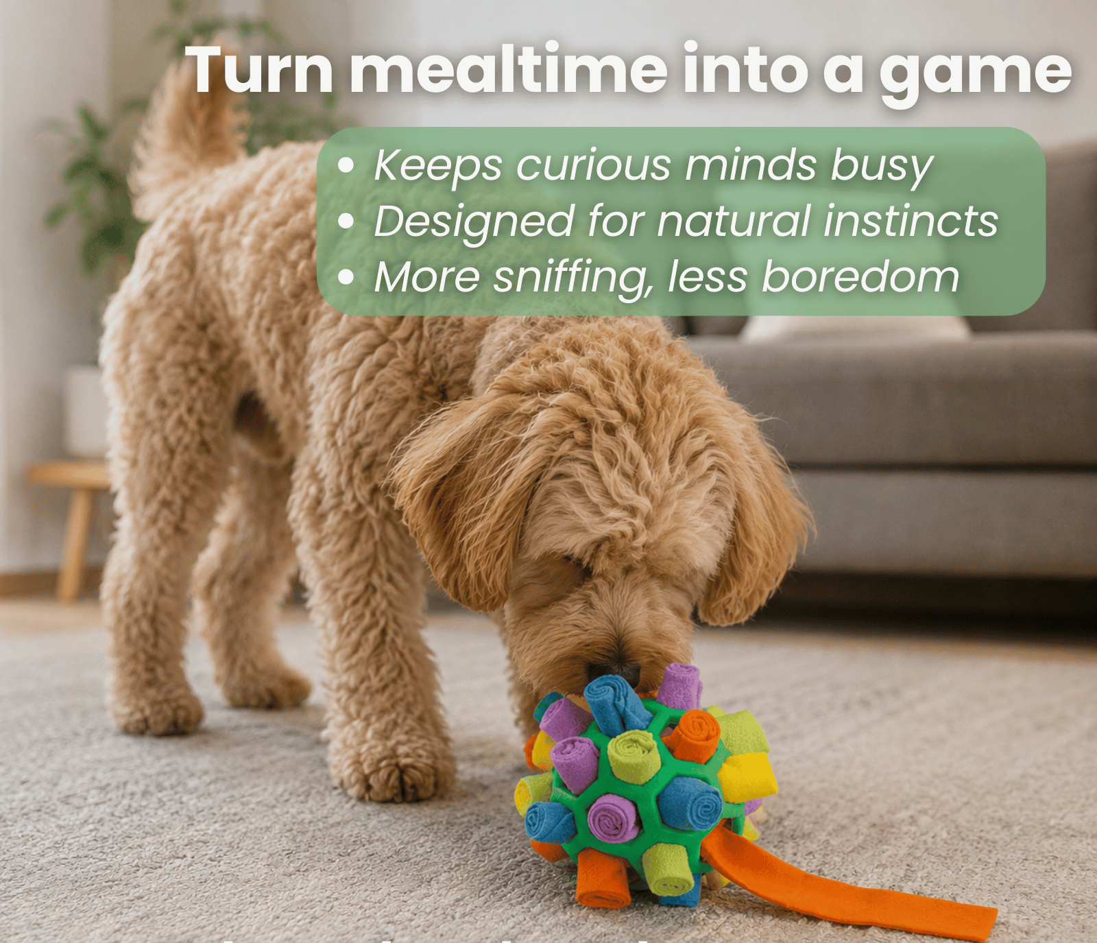 Dailypets Interactive Snuffle Ball for Dogs with Treat Dispensing Design