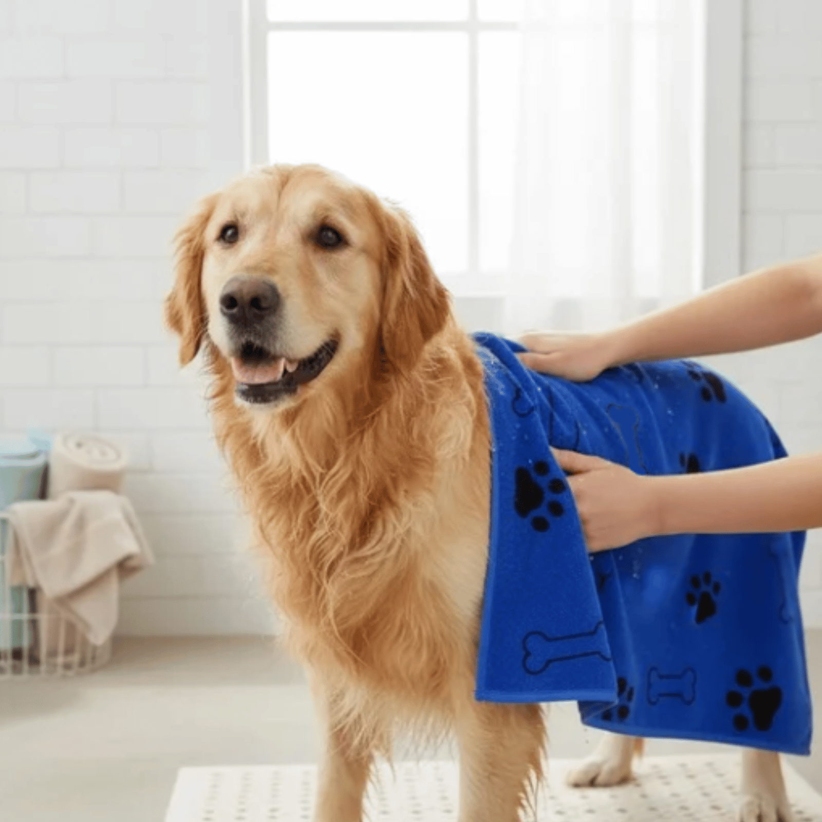 Dailypets Fast-Drying Microfiber Pet Towels 2-Pack for Everyday Dog Grooming Care