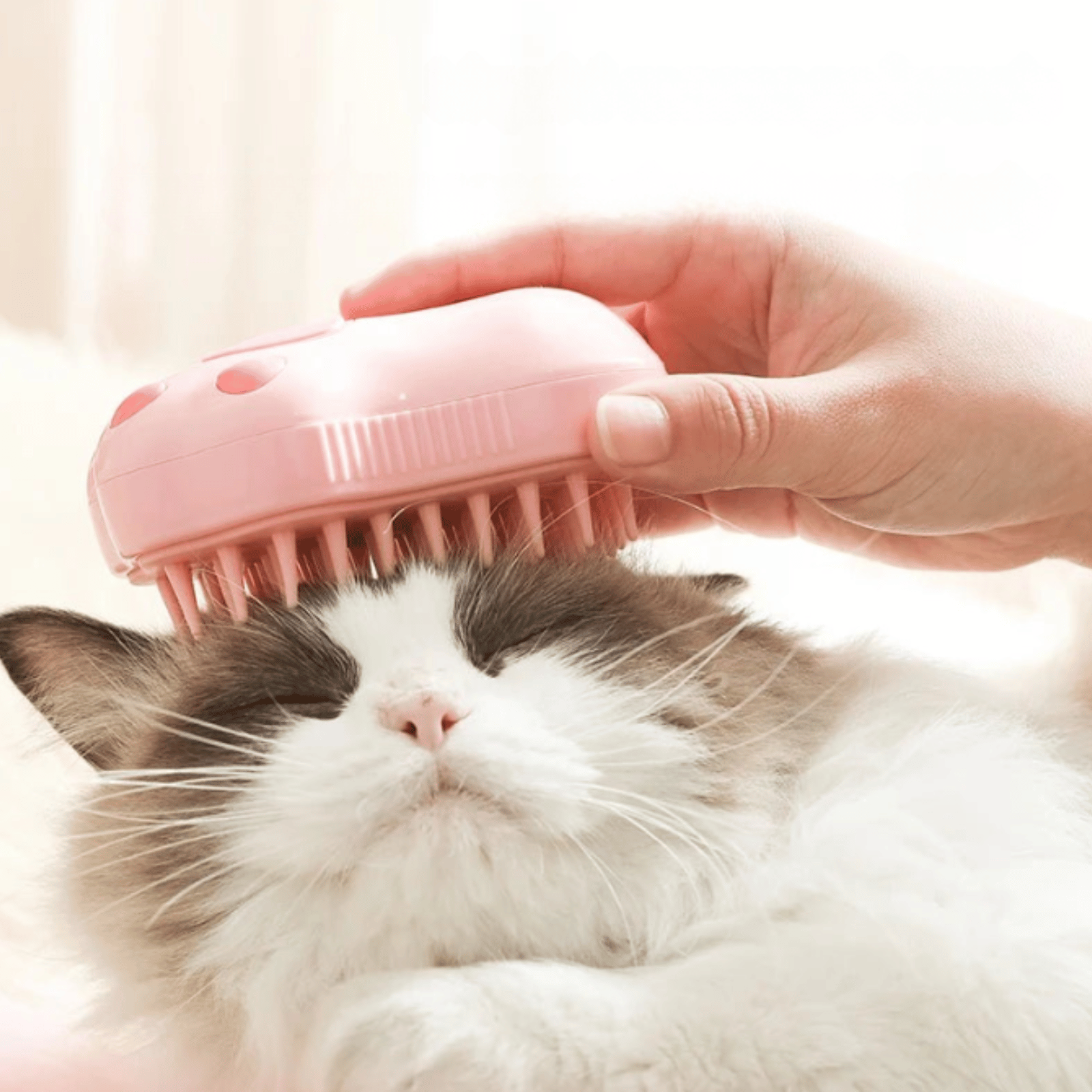 Dailypets Rechargeable 3-in-1 Pet Grooming Brush for Dogs and Cats with Steam Care