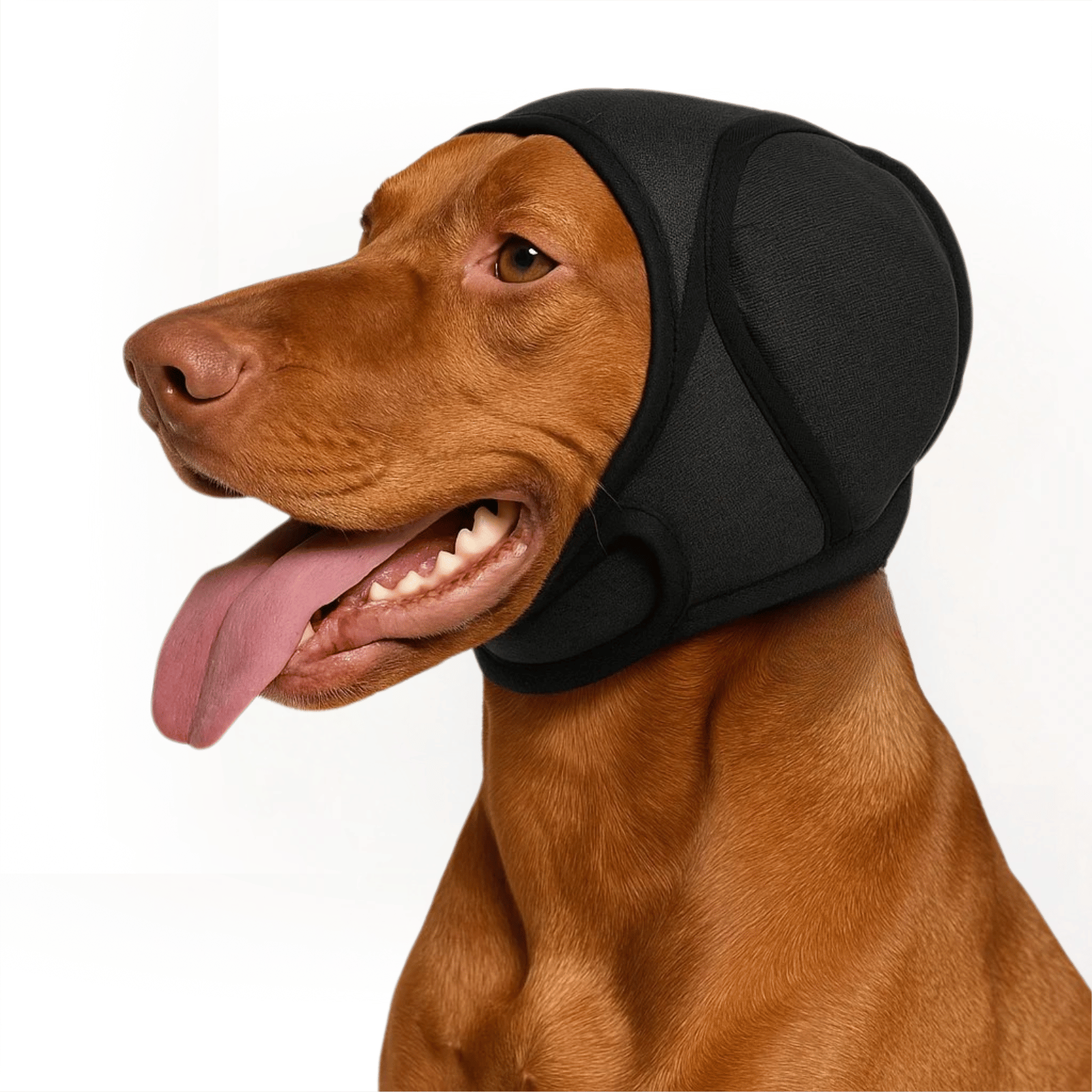 Dailypets Waterproof Dog Ear Protection with Adjustable Noise-Reducing Comfort Fit