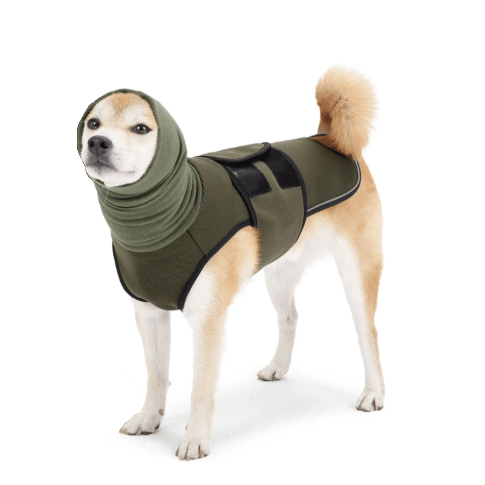 Dailypets Calming Dog Anxiety Vest with Adjustable Compression Fit for Everyday Comfort