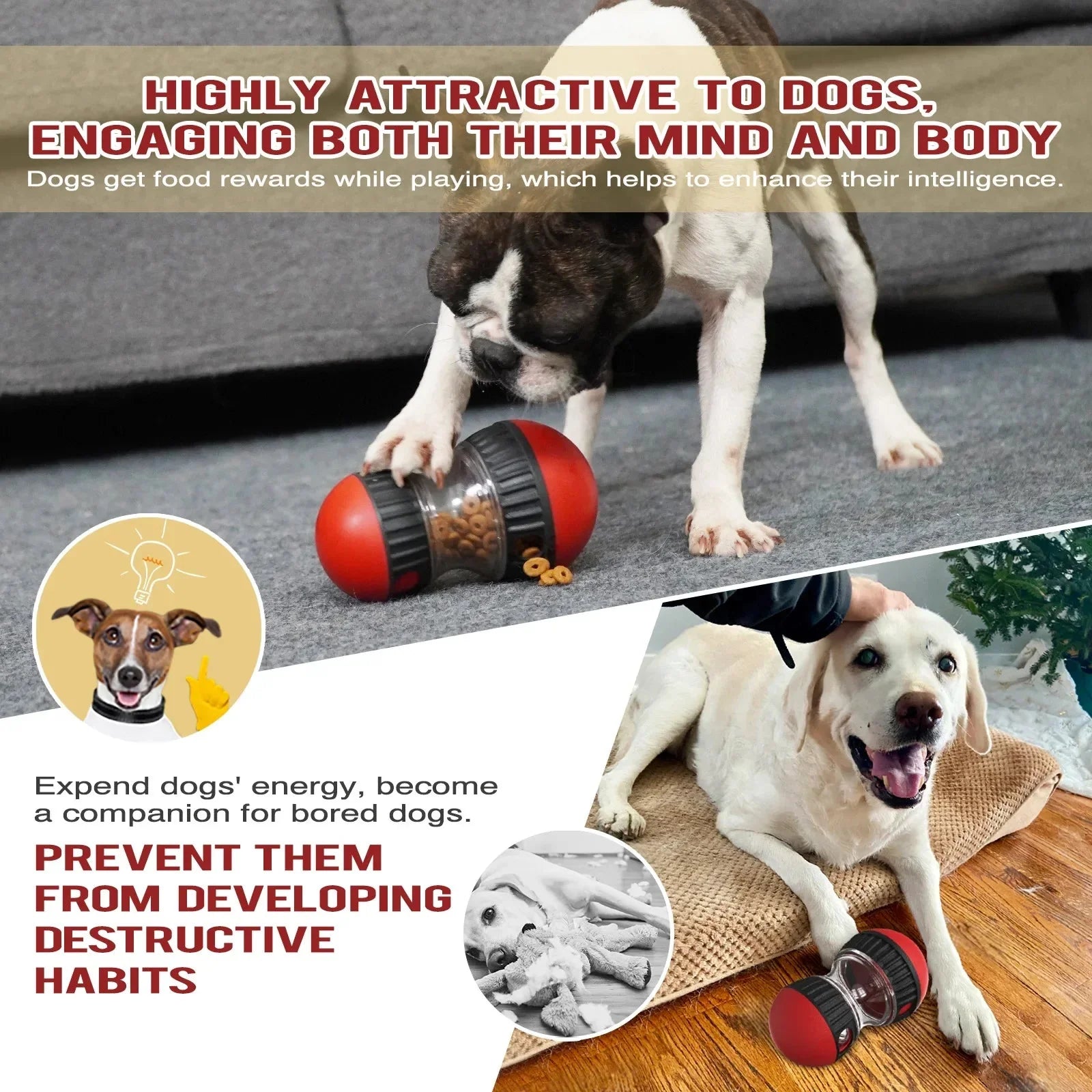 Dailypets Interactive Slow Feeder Ball for Dogs with Adjustable Treat Opening